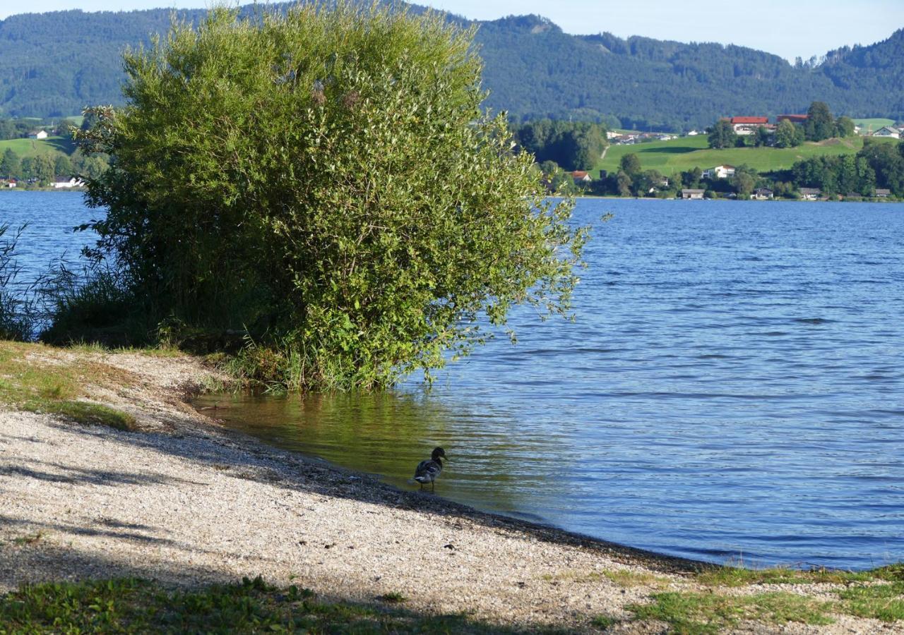 Refugio Del Lago Seekirchen am Wallersee Eksteriør bilde