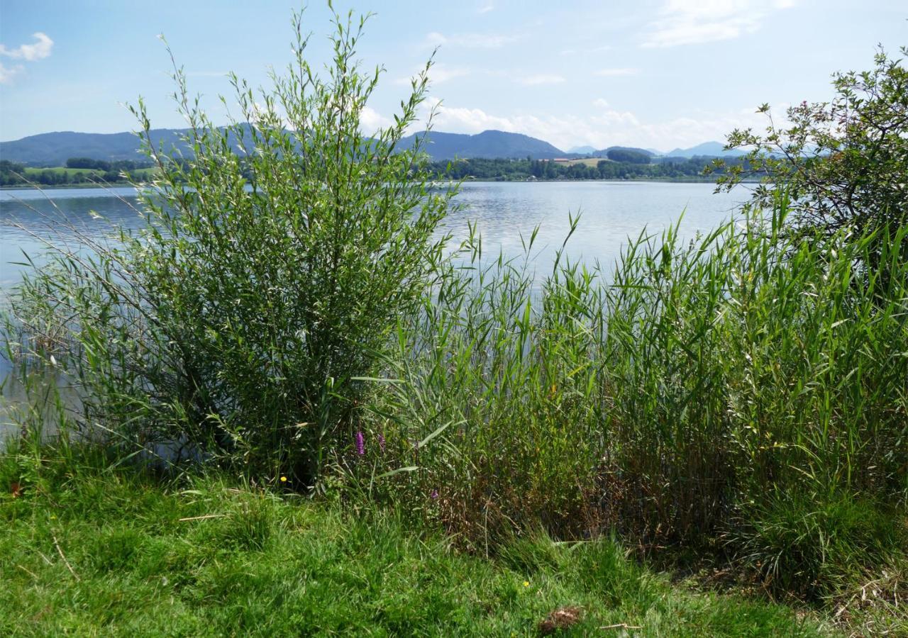 Refugio Del Lago Seekirchen am Wallersee Eksteriør bilde