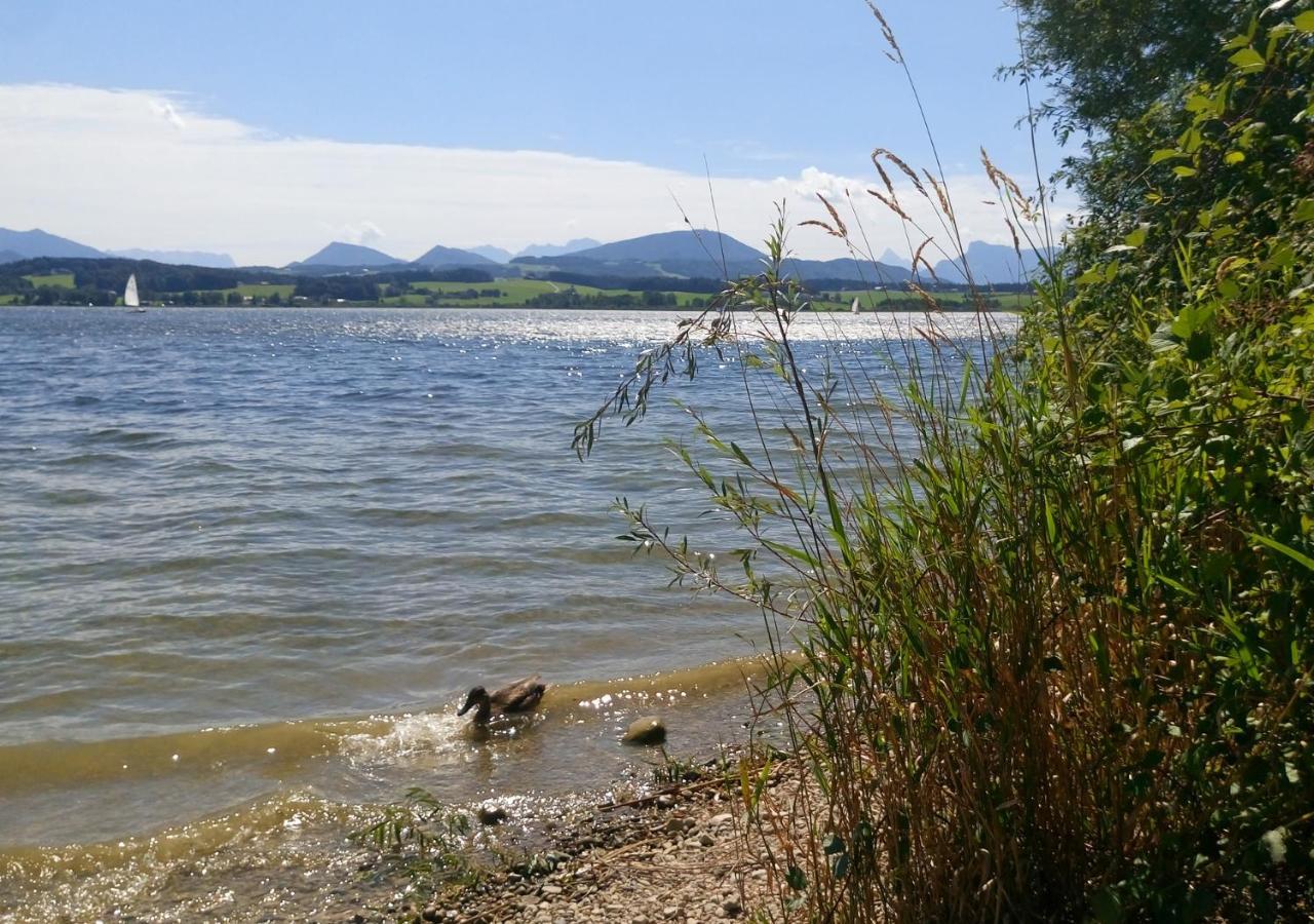 Refugio Del Lago Seekirchen am Wallersee Eksteriør bilde